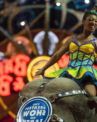 All American Circus