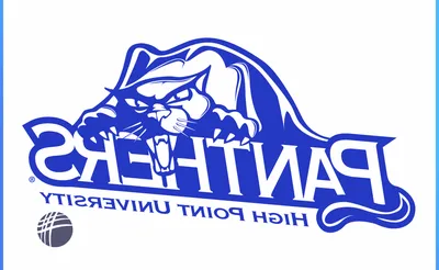 High Point Panthers