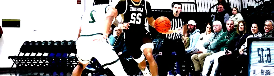 Lehigh Mountain Hawks Basketball